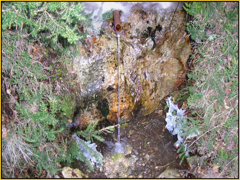 Mis Fuentes - FOTO 80