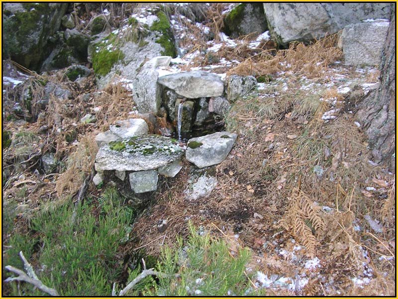 Mis Fuentes - FOTO 81