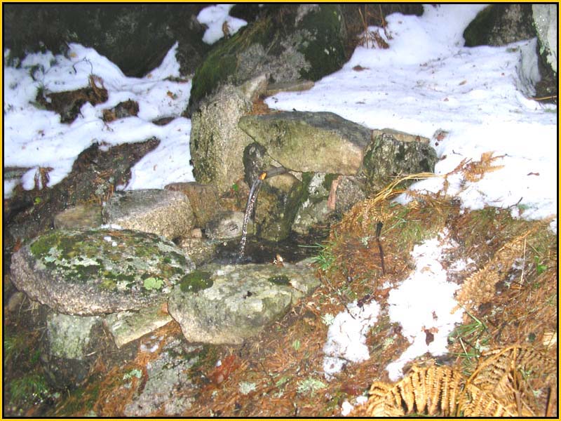 Mis Fuentes - FOTO 82