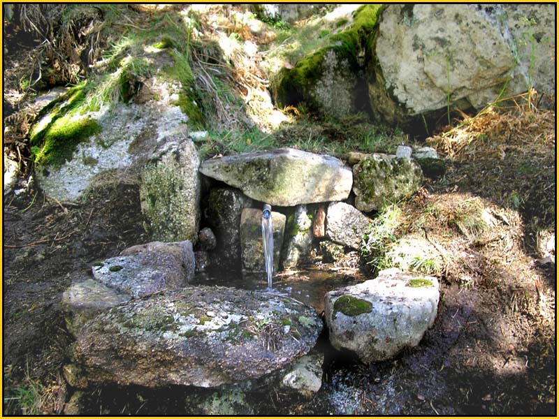 Mis Fuentes - FOTO 84