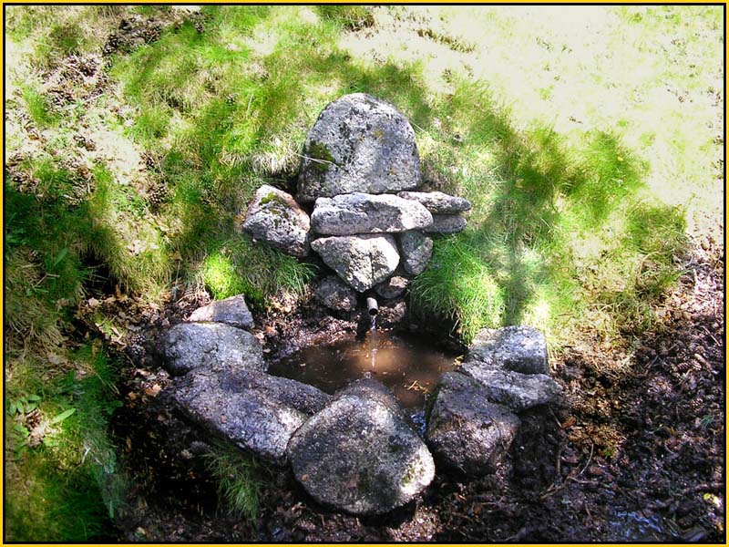 Mis Fuentes - FOTO 87