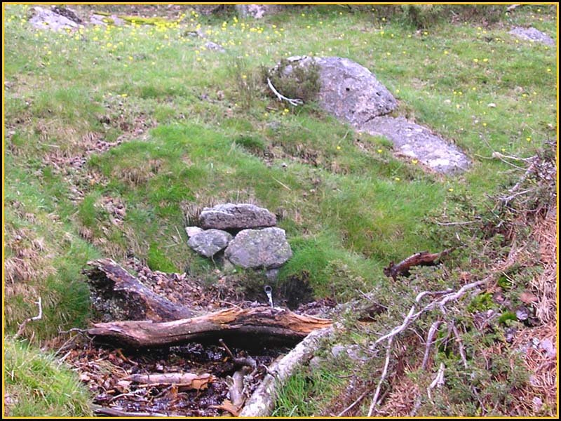 Mis Fuentes - FOTO 88