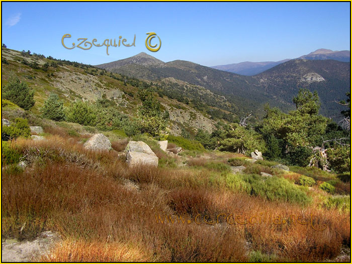 Cercedilla Postal Aguila 02