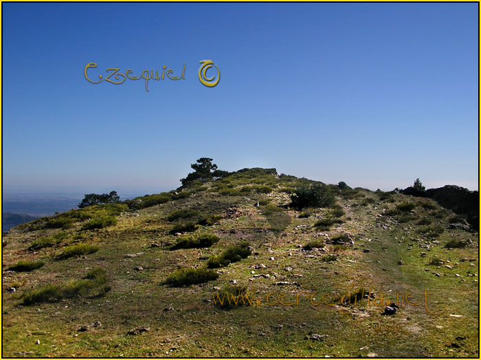 Cercedilla Postal Aguila 17