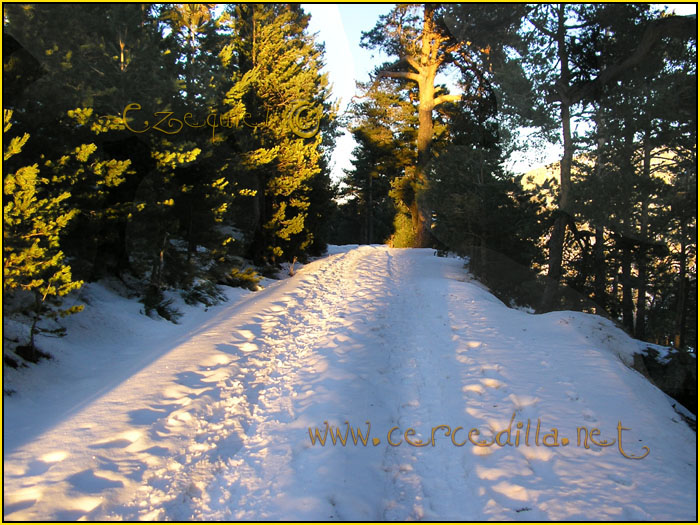 Tarjeta postal de Cercedilla Calle Alta 04