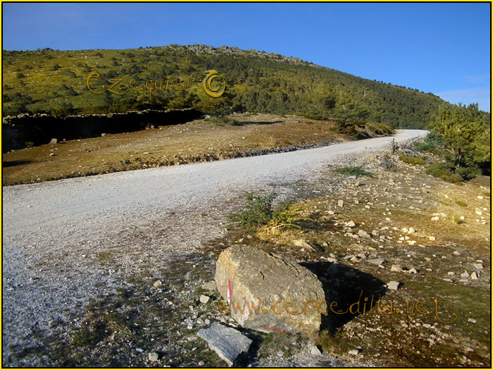 Tarjeta postal de Cercedilla Calle Alta 11