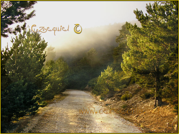 Tarjeta postal de Cercedilla Calle Alta 15