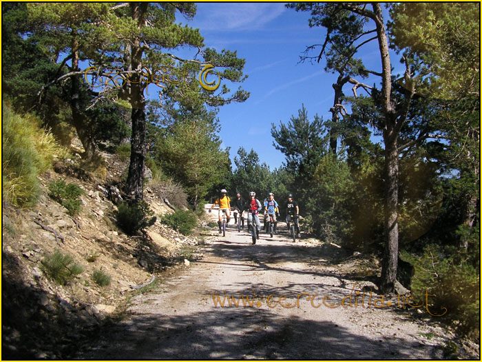 Tarjeta postal de Cercedilla Calle Alta 21