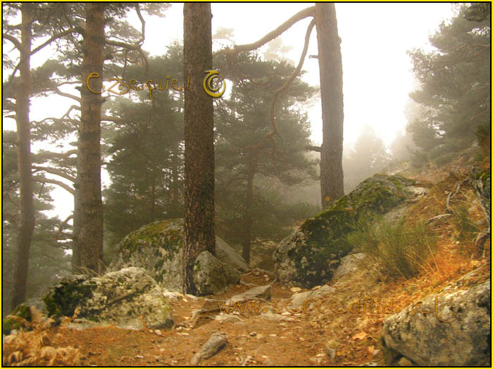 Tarjeta postal de Cercedilla camino Schmid 07