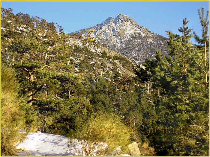Tarjeta postal de Cercedilla  Camino Viejo de Segovia 01