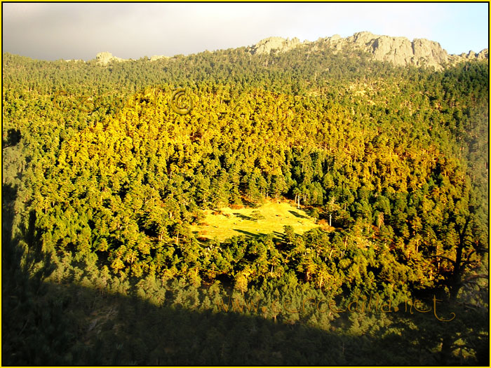 Tarjeta postal de Cercedilla Collado Albo 05