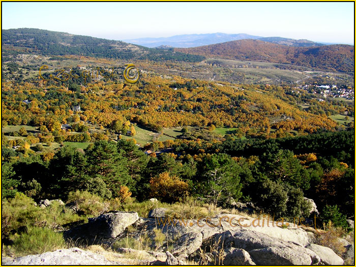 Tarjeta postal de Cercedilla Collado Albo 09