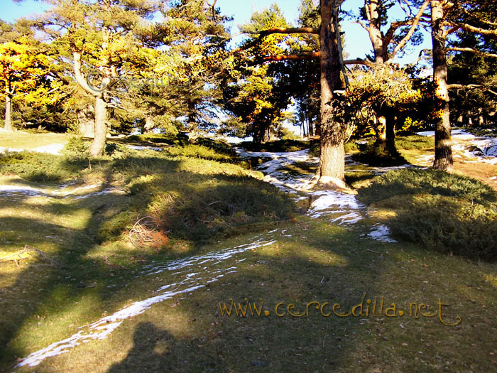 Tarjeta postal de Cercedilla Collado Ventoso 02