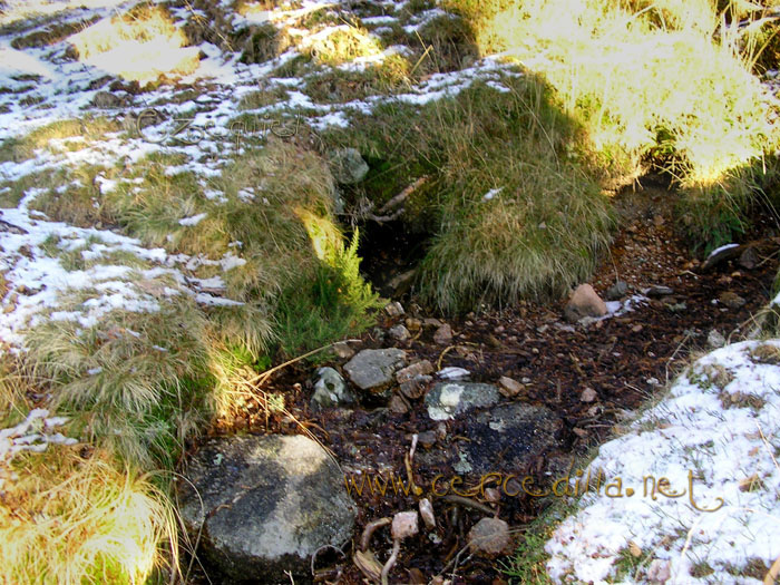 Tarjeta postal de Cercedilla Collado Ventoso 04