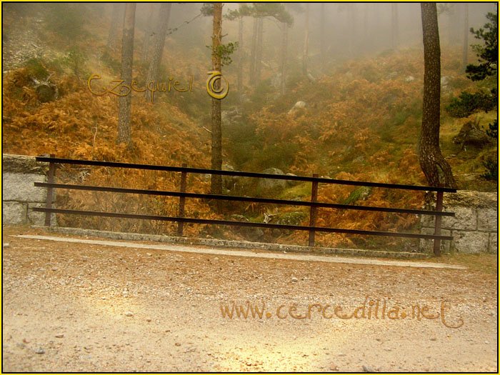 Tarjeta postal de Carcedilla GR 10 03