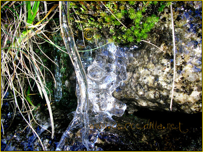 Tarjeta postal de Cercedilla el hielo 07