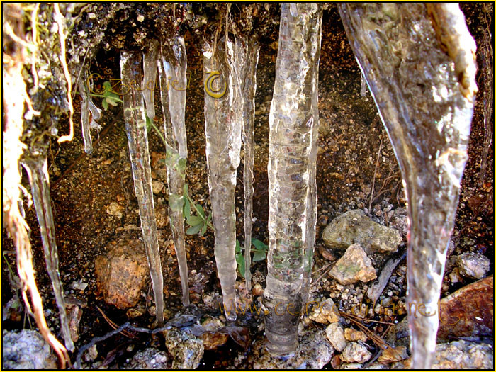 Tarjeta postal de Cercedilla el hielo 09