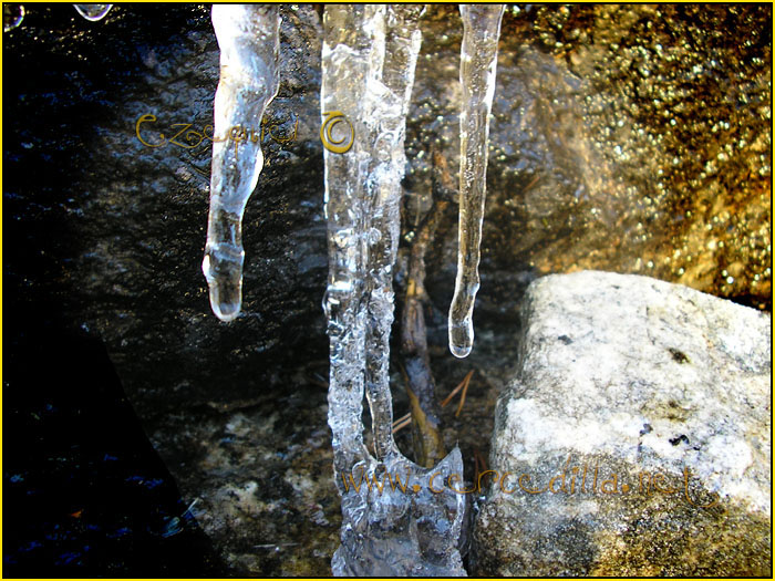 Tarjeta postal de Cercedilla el hielo 11
