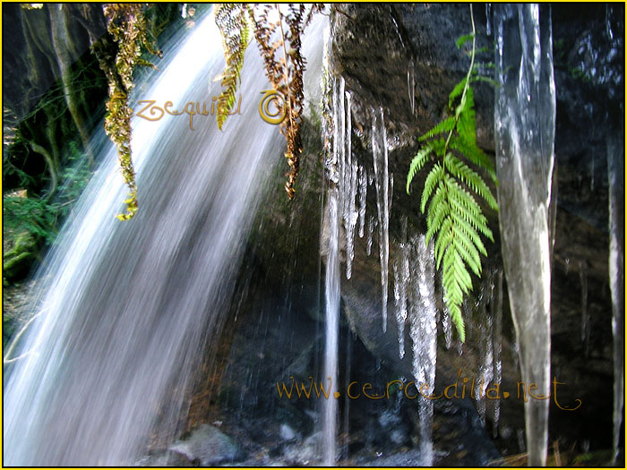 Tarjeta postal de Cercedilla el hielo 16