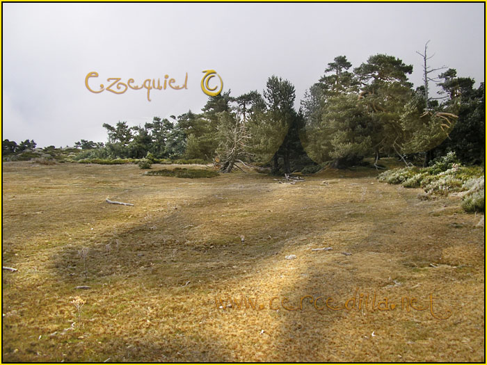 Tarjeta postal de Cercedilla Majalasna 02