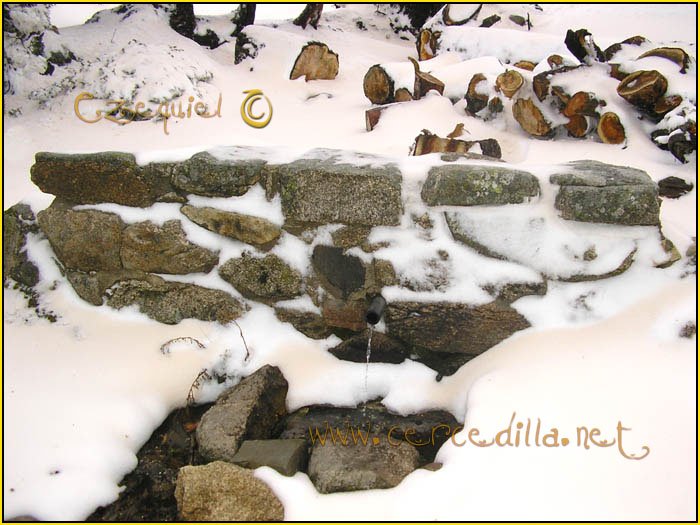 Tarjeta postal de Cercedilla Majalasna 23