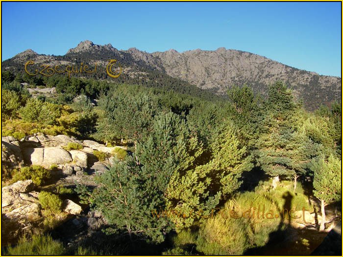 tarjeta_postal_de_cercedilla_los_miradores_11