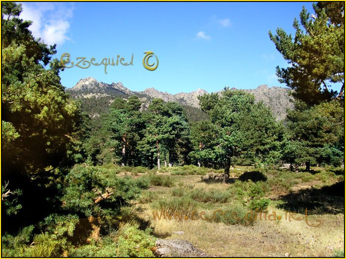 Tarjeta postal de Cercedilla de Navarrolaque 07