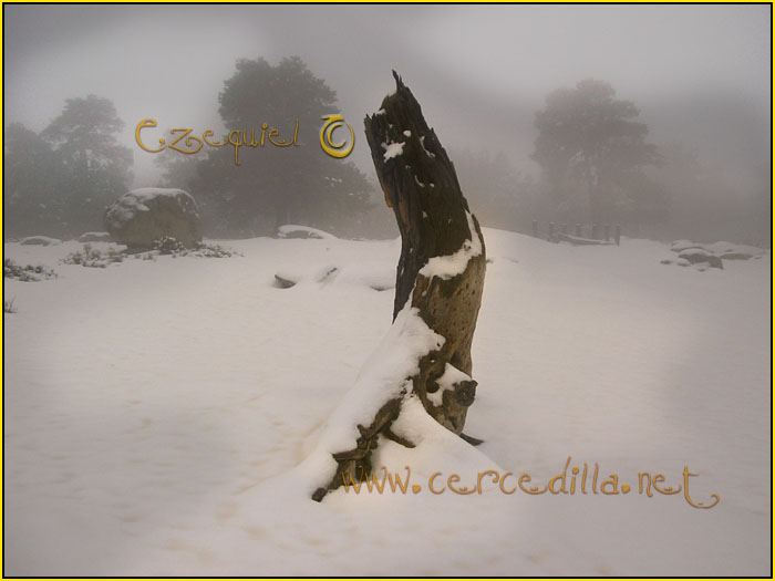 Tarjeta postal de Cercedilla de Navarrolaque 09