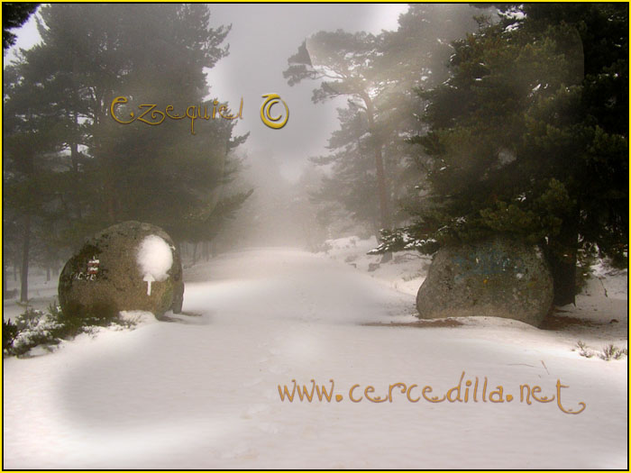 Tarjeta postal de Cercedilla de Navarrolaque 12