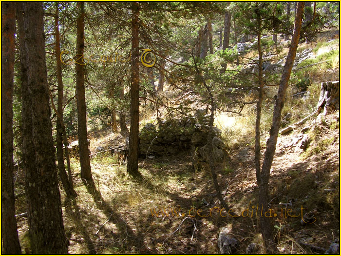 Tarjeta postal de Cercedilla los parapetos 09