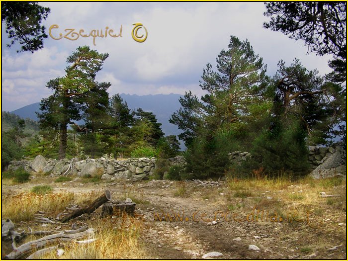 tarjeta postal de cercedilla pico 12