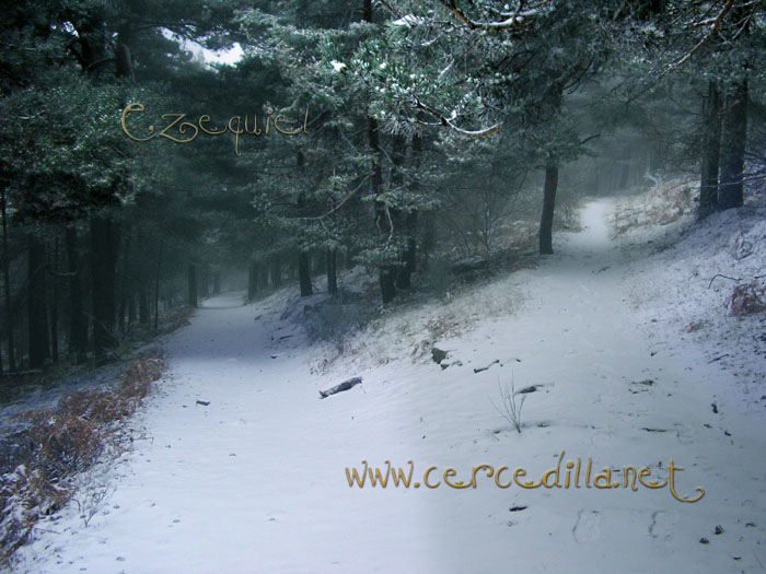 Tarjeta postal de Cercedilla  primeras nieves 08