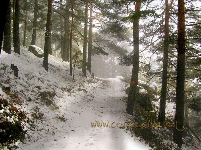 Tarjeta postal de Cercedilla  primeras nieves 09
