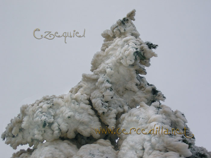 Tarjeta postal de Cercedilla  primeras nieves 12