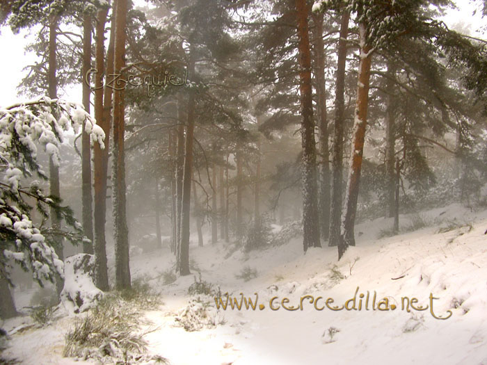 Tarjeta postal de Cercedilla  primeras nieves 20