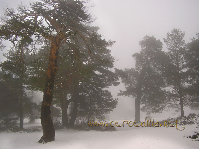 Tarjeta postal de Cercedilla  primeras nieves 22