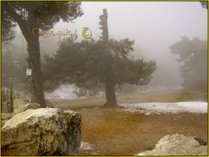 Tarjeta postal de Cercedilla Puerto de la Fuenfria 04