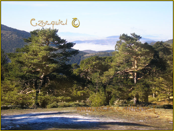 Tarjeta postal de Cercedilla Senda de los Alevines 08