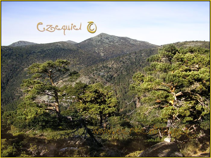 Tarjeta postal de Cercedilla Senda de los Alevines 09