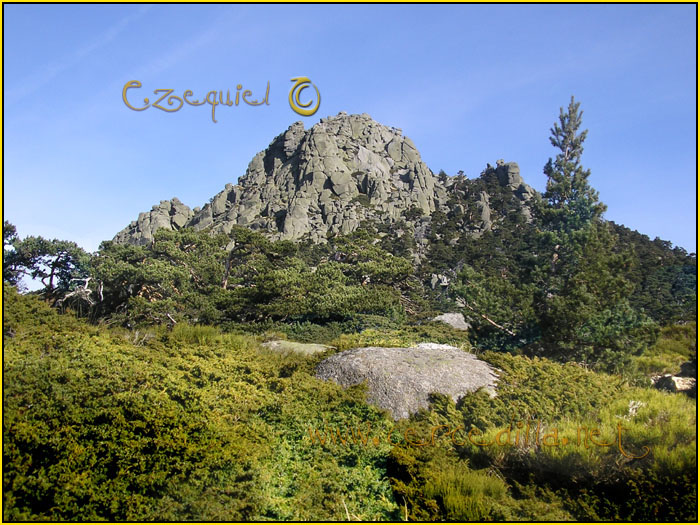 Tarjeta postal de Cercedilla Senda de los Alevines 14