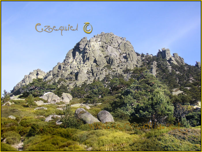 Tarjeta postal de Cercedilla Senda de los Alevines 15