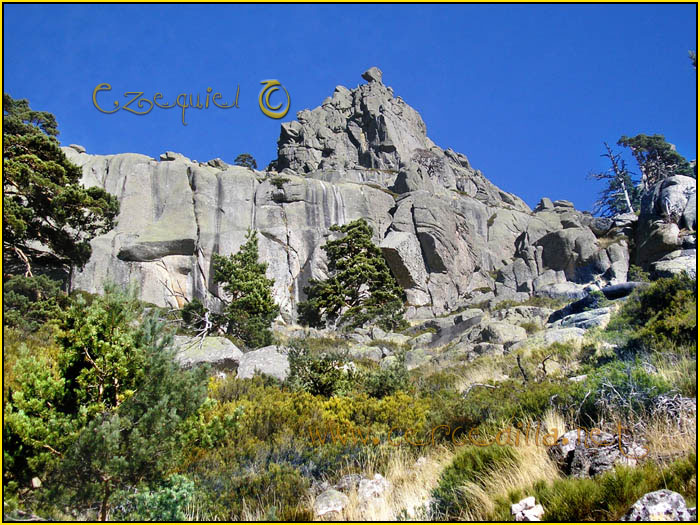 Tarjeta postal de Cercedilla Senda Herreros 01