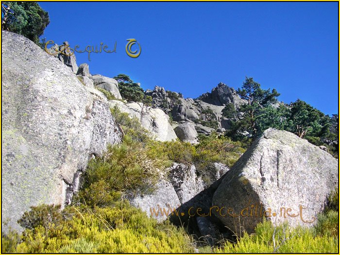 Tarjeta postal de Cercedilla Senda Herreros 03