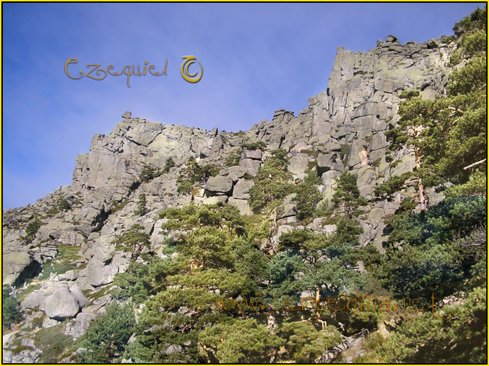 Tarjeta postal de Cercedilla Senda Herreros 14