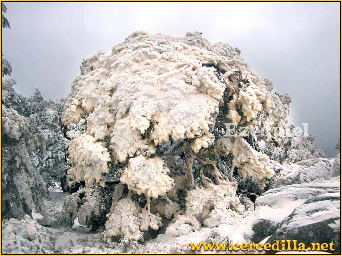 cercedilla_primeras_nieves_03