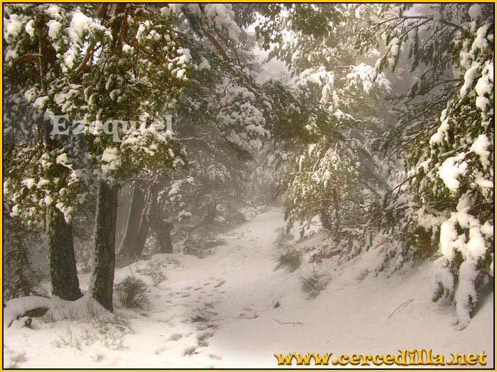 cercedilla_primeras_nieves_07