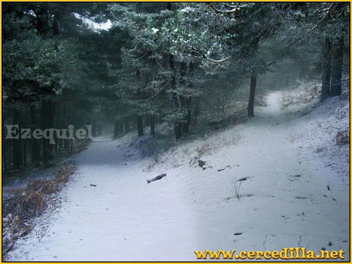 cercedilla_primeras_nieves_08