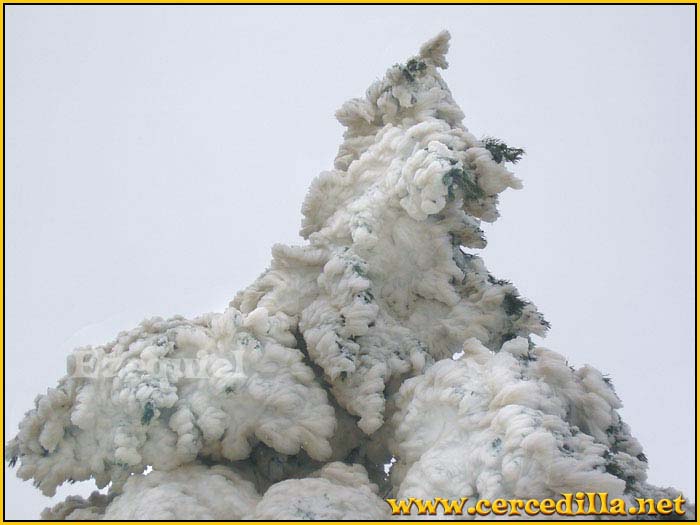 cercedilla_primeras_nieves_12