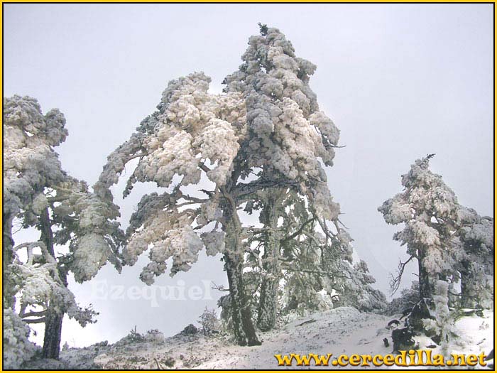 cercedilla_primeras_nieves_13