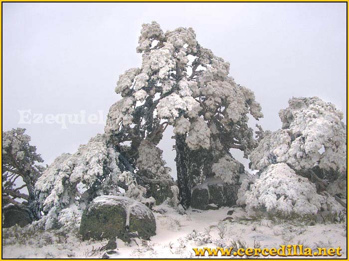 cercedilla_primeras_nieves_15